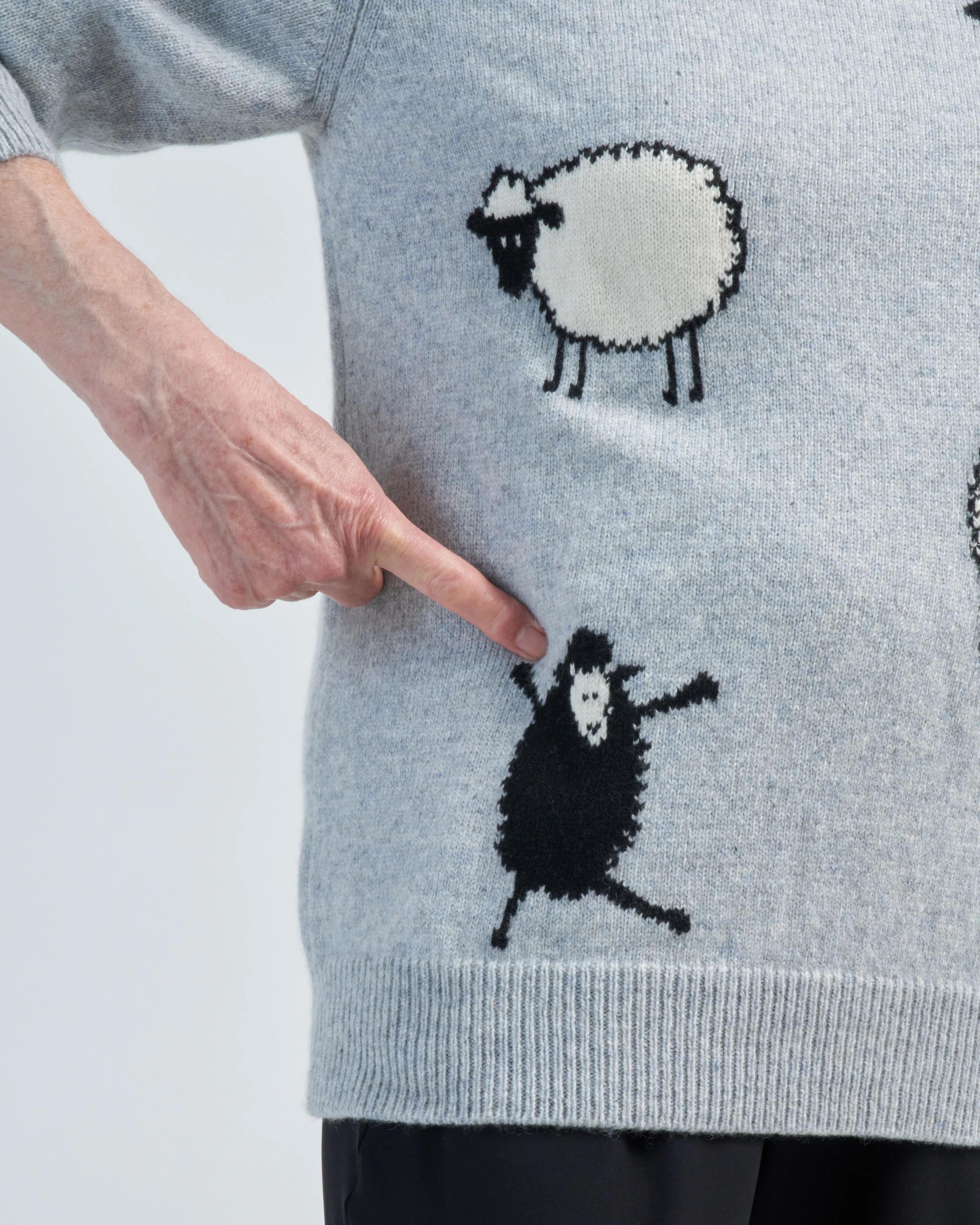 black sheep crew