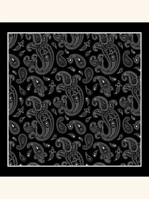 Black with Heavy White Paisley Silk Pocket Square