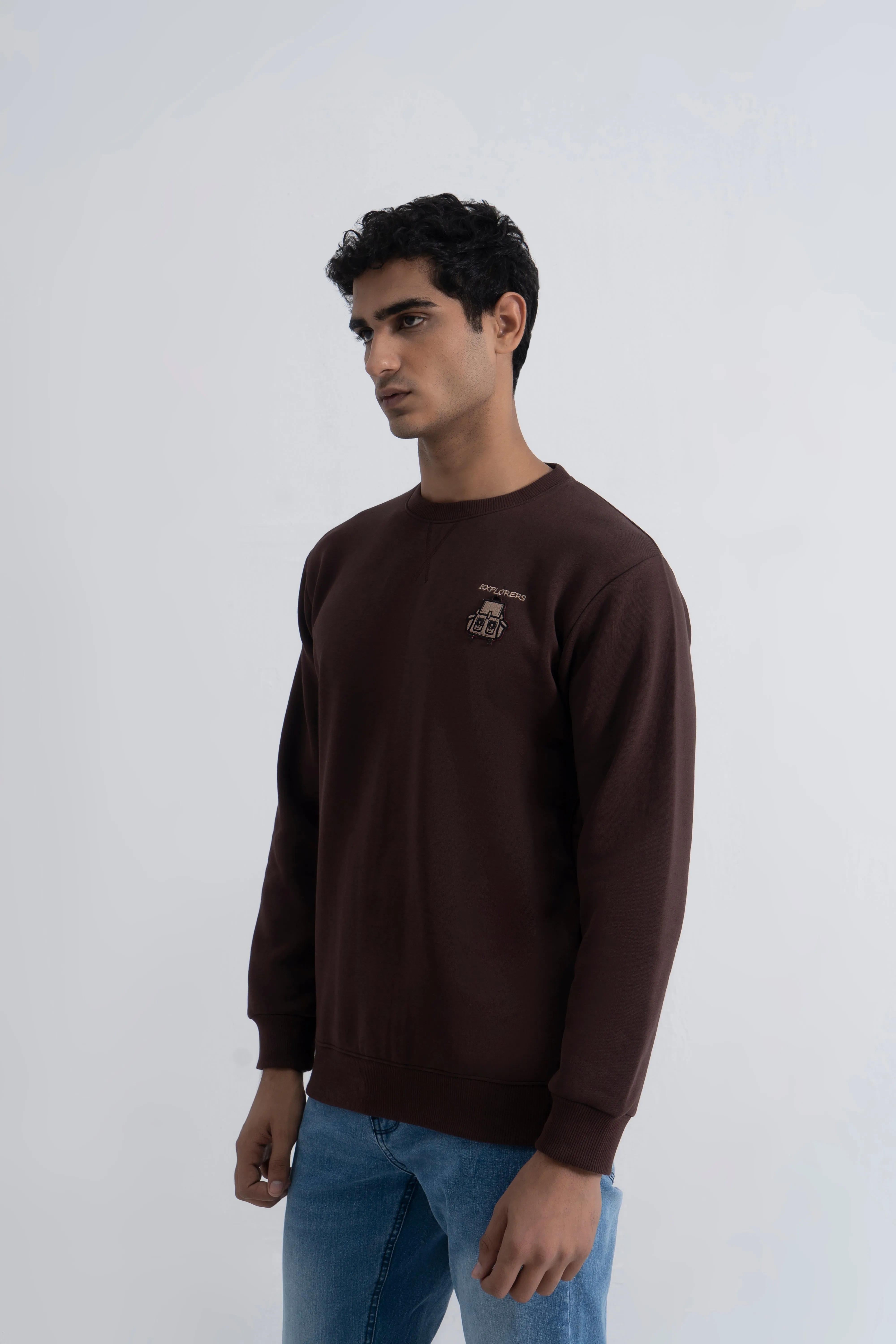 Brown Graphic Sweatshirt
