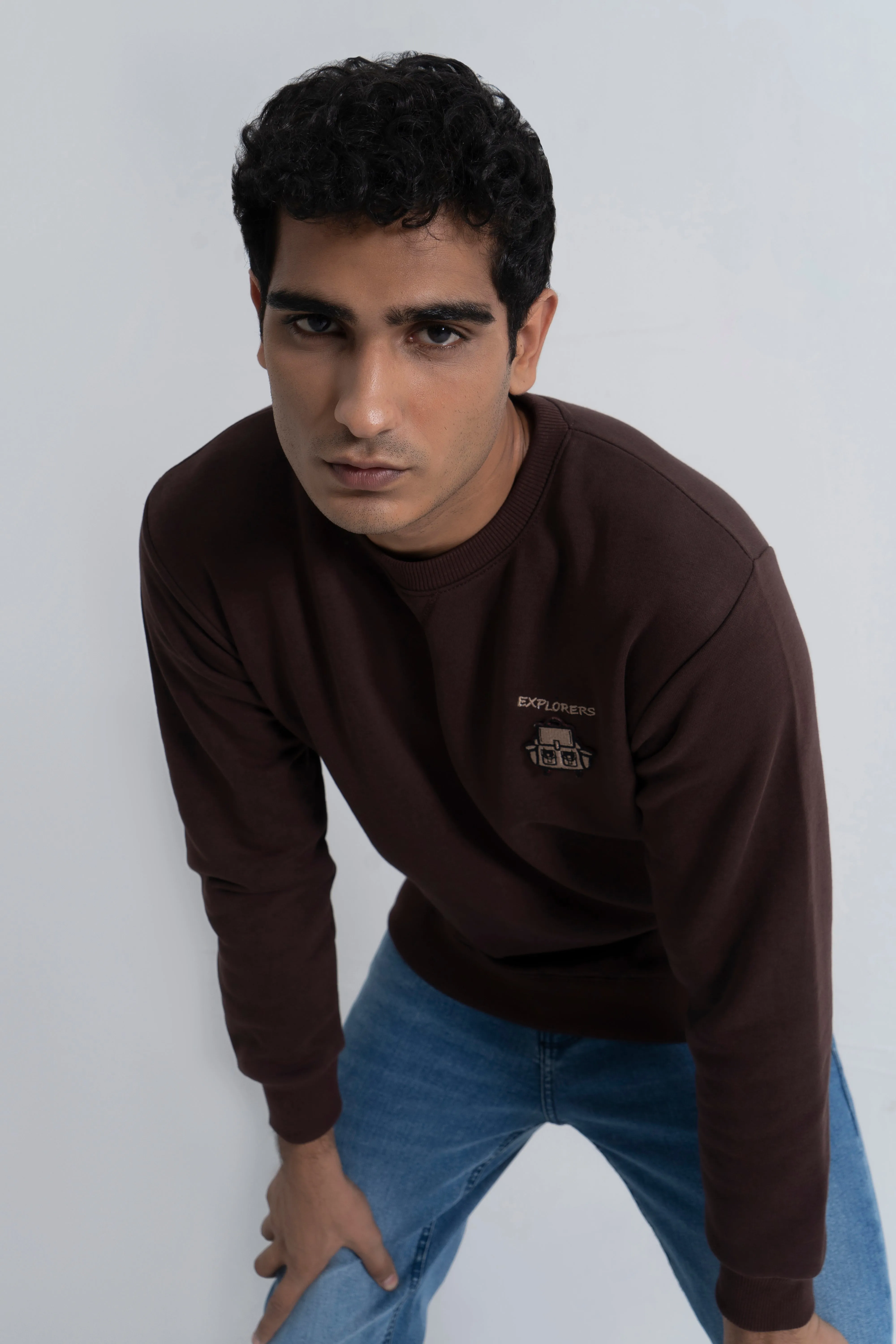 Brown Graphic Sweatshirt