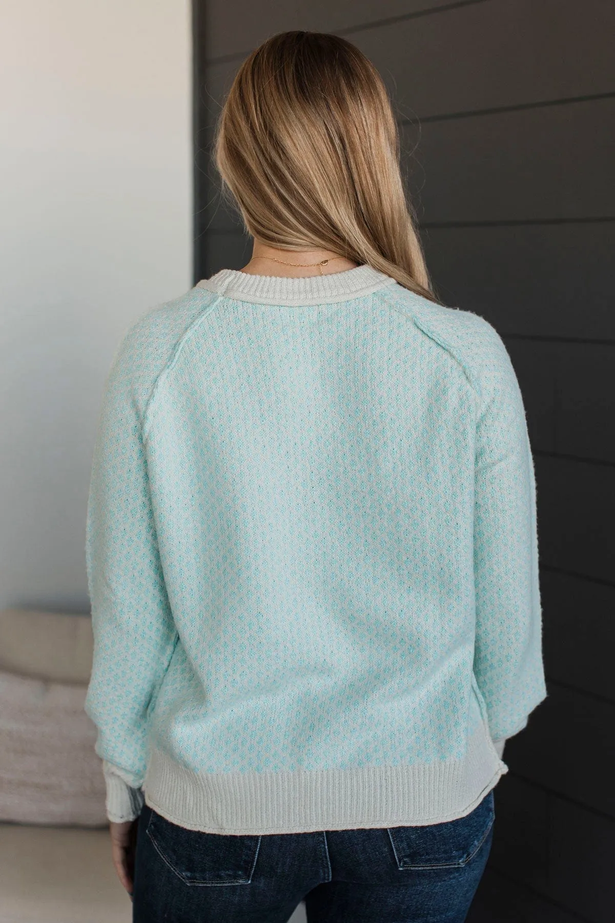 Just Stopping By Printed Knit Sweater- Light Aqua