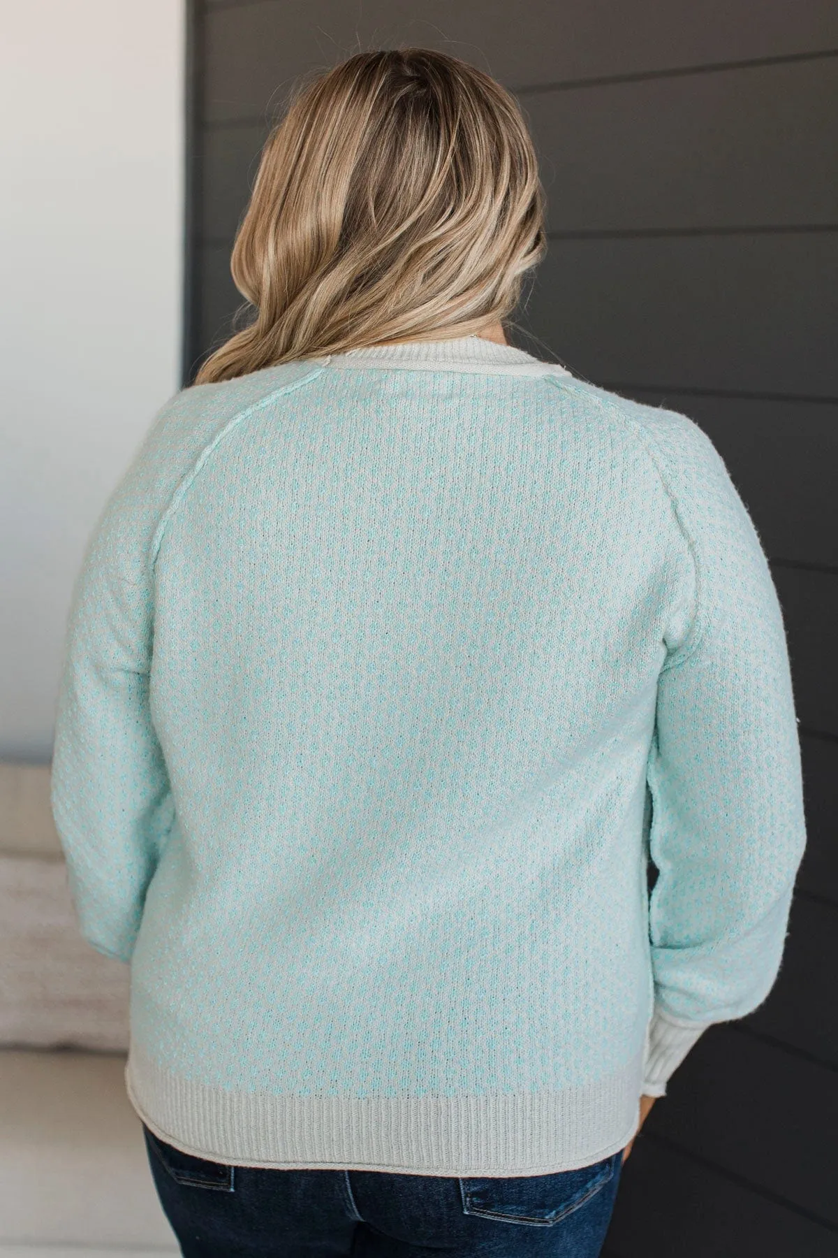 Just Stopping By Printed Knit Sweater- Light Aqua