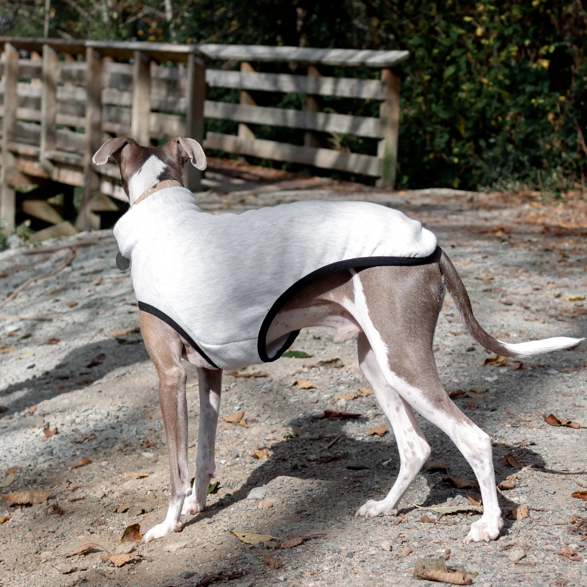 Sleeveless Dog Sweater - Light Grey