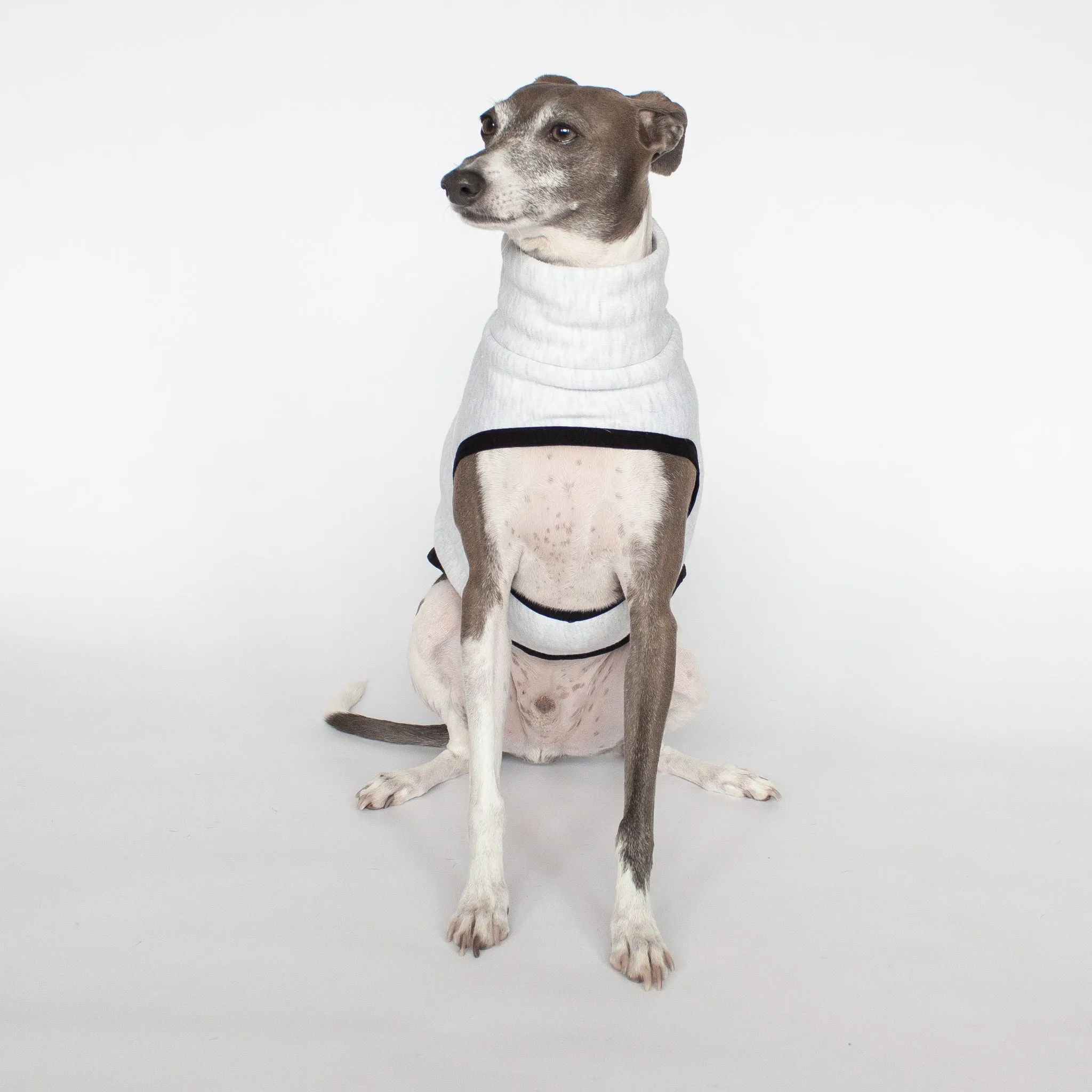 Sleeveless Dog Sweater - Light Grey